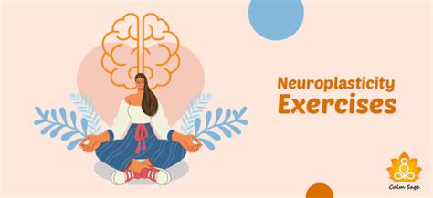 Image result for Neuroplasticity Exercises