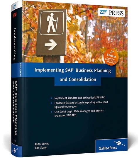Buy Implementing Sap Business Planning and Consolidation Book Online at ...
