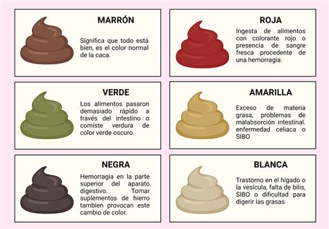 Heces Color Rojo Brillante _ Tipos de heces: Apariencia, color y cuándo ...