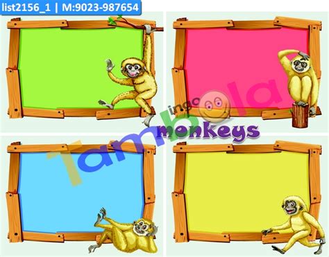 Monkey Designs