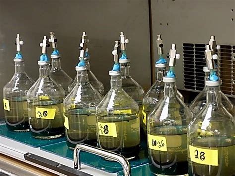 Biomethanation 的图像结果