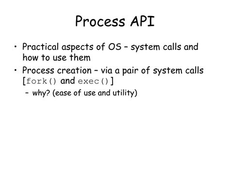 Process API C Programming 的图像结果