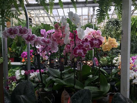 Photo Gallery: Delaware Garden Center - Oakland Nursery