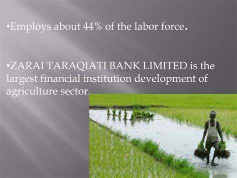 Presentation Example of Computer 的图像结果