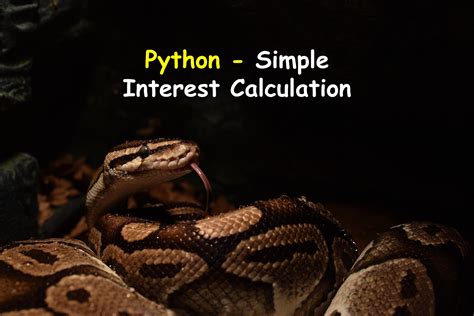 Image result for Simple-Interest Python Code