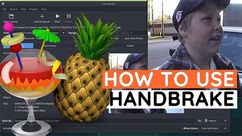 Image result for Crop Video Using Hand Brake