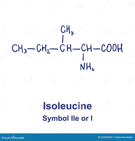 Isoleucine Chemical Structure. Vector Illustration Hand Drawn | CartoonDealer.com #232834328