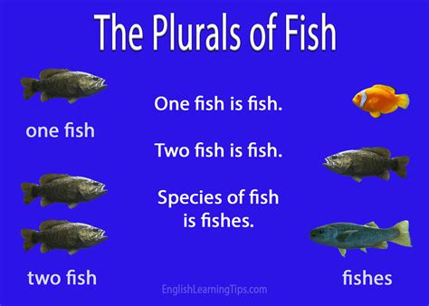 The plurals of fish: Fish or fishes - English Learning Tips