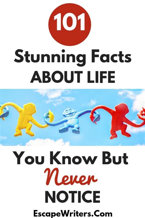 Most Random Facts 的图像结果