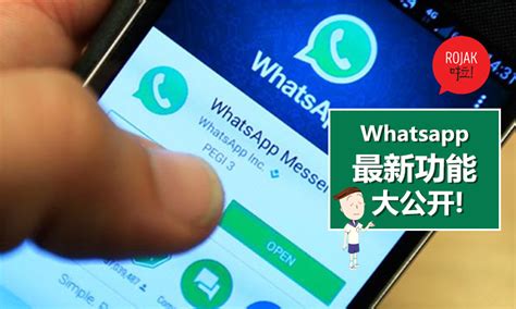 Bulk Whatsapp Sender Software with lifetime license buy online