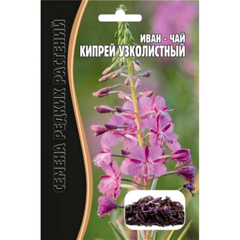 Различные травы Редкие семена Кипрей узколистный (Иван-чай) - купить по ...