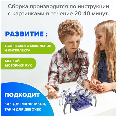 Конструктор Робот паук с электромотором Робототехника для начинающих ...