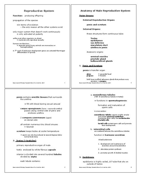 P.Reproductive System - Human Anatomy & Physiology: Reproductive System ...