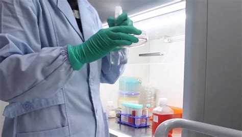 原代细胞培养实验代做技术服务外包 - 上海创凌生物科技有限公司