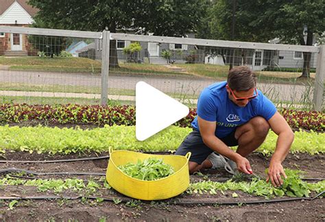 Search our Job Opportunities at CHS Inc