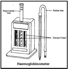 EEG and ECG: Human Health and Diseases - Additional Study Material for ...