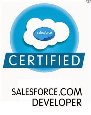 Image result for Salesforce Developer Certificate Sample