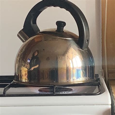 How To Descale Tea Kettle at Dennis Raleigh blog