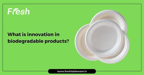 What is Innovation in Biodegradable Products?