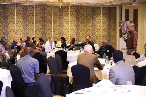 Fall Armyworms affect 750,000 acres of maize in Africa, put food ...