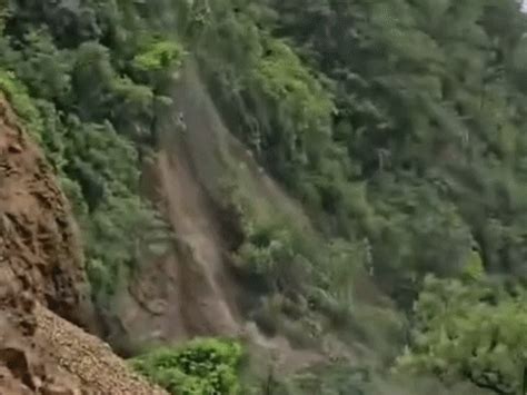 Red Alert in Himachal: Schools Shut, Roads Blocked