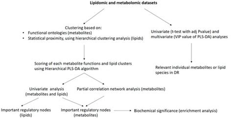 Untargeted Multiomics Approach Coupling Lipidomics and Metabolomics ...