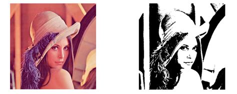 Java Black and White 的图像结果