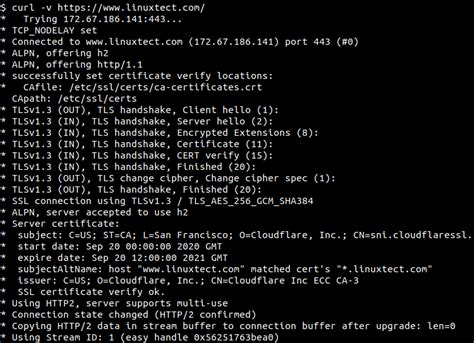 Image result for Command Line Request HTTP