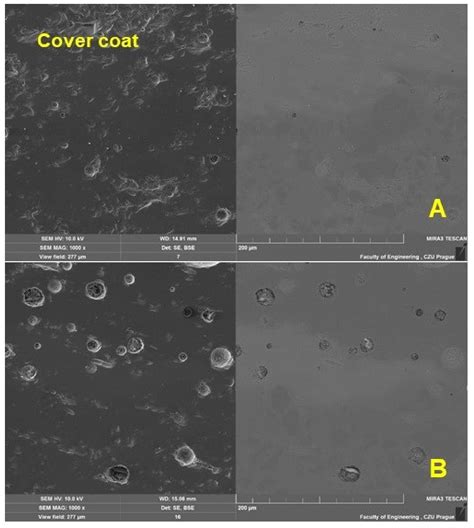Tribological Behaviour of Enamel Coatings Created by a Prototype Device ...