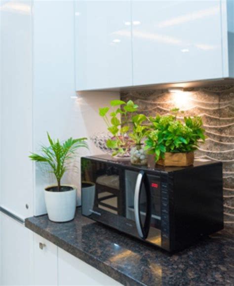 Planterior - Interior with Plants