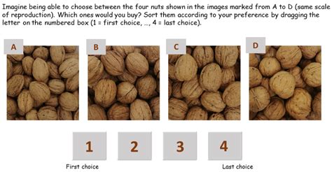 Valorization of Traditional Italian Walnut (Juglans regia L ...