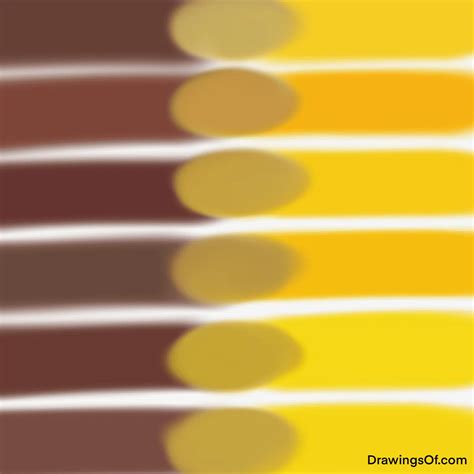 Brown and Yellow Make What Color When Mixed? - Drawings Of...