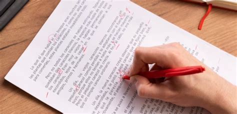 Image result for Conclusion Paragraph Example