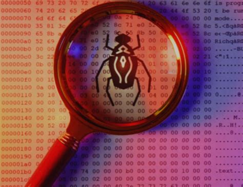 Image result for Computer Bug Algorithm to Reality