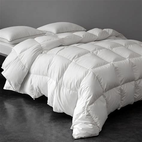 Alwyn Home Luxury Feather Down Duvet Insert Twin Size - All Season ...
