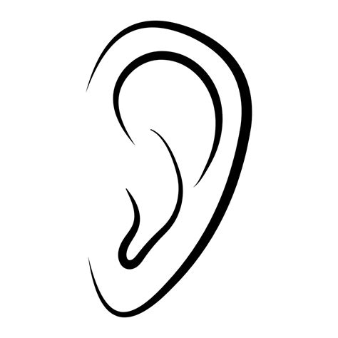 Outline Of Ear