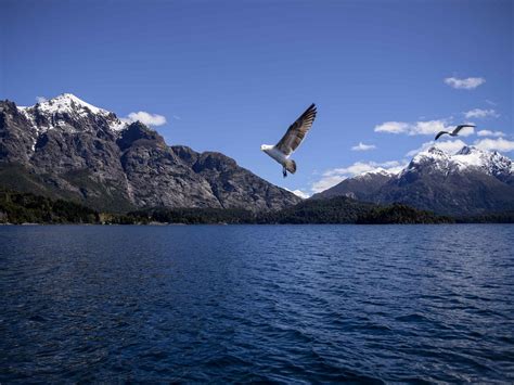 LAKE TOURS (2026) All You Need to Know BEFORE You Go (with Photos ...