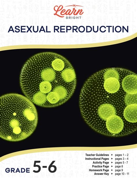 Image result for Asexual Reproduction Examples