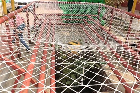 Image result for Safety Net