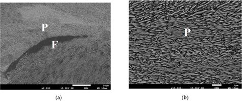 Physical and Numerical Simulations of Closed Die Hot Forging and Heat ...