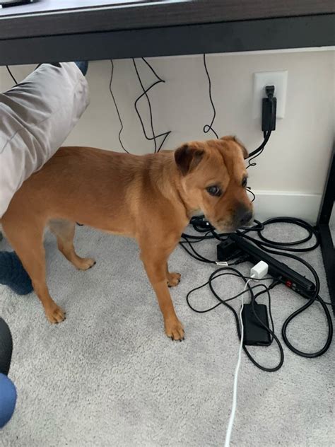 Infosys Hi, I have joined Infosys recently but still there are ...