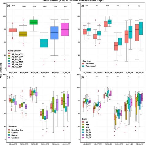 Image result for What iOS a Developmental Variation