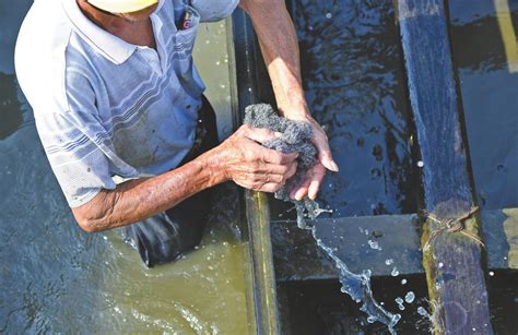 中山市民众镇污水厂出水水质达标 运行正常 宜兴博渝环保设备有限公司