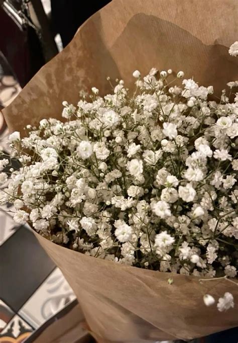 Prettiest flowers – Artofit