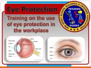 Eye Protection Training 的图像结果