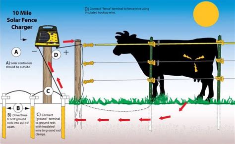 HANS SOLAR JHATKA MACHINE