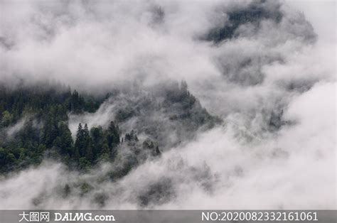 雾凇景观摄影图__自然风景_自然景观_摄影图库_昵图网nipic.com