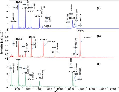 Image result for MALDI-TOF MS Data Calculation