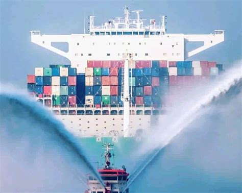 Top 10 Largest Container Ships in the World (2024) - The Blond Post