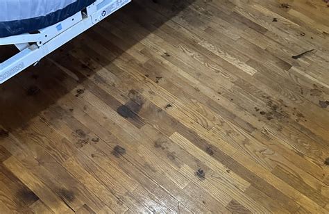 How can I remove spot stains from this hardwood floor? - Home ...